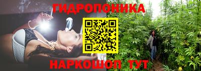 сатива Тулун
