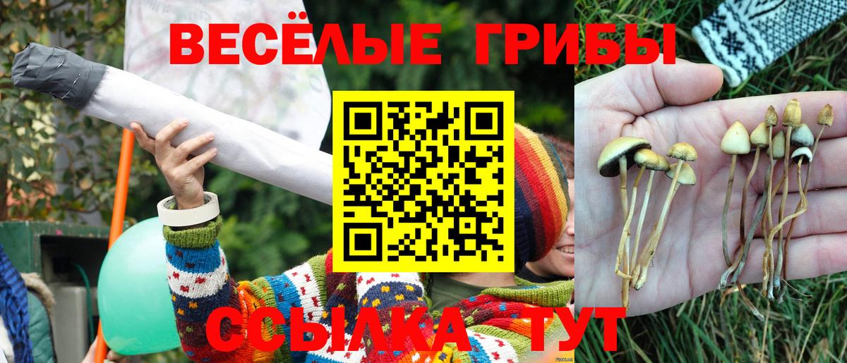 Псилоцибиновые грибы MAGIC MUSHROOMS  Вход с VPN  Отрадное  Галлюциногенные грибы прущие грибы 