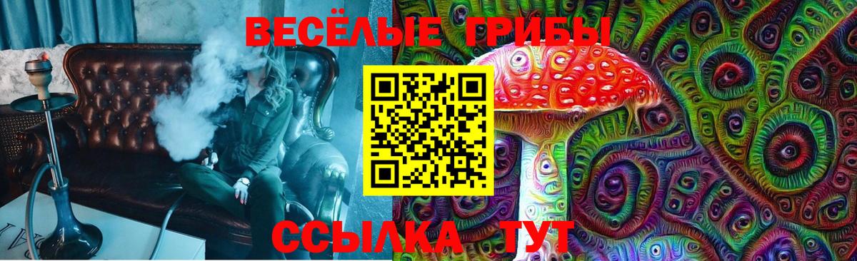 Галлюциногенные грибы GOLDEN TEACHER Отрадное